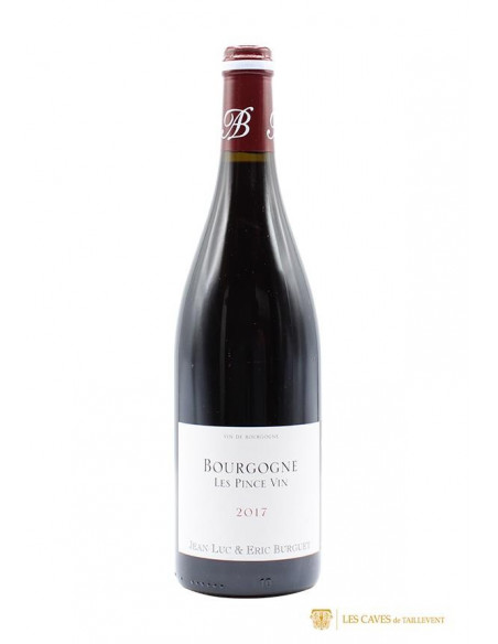 Bourgogne, Domaine Alain Burguet, Les Pince vin, 2017