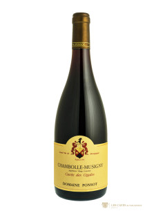 Chambolle-Musigny, Ponsot, Cigales, 2013
