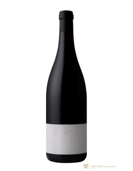 Domaine Trapet Bourgogne 2022 - Les Caves de Taillevent
