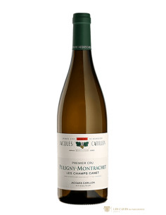 Puligny-Montrachet, Jacques Carillon, Les Champs Canet, 2016