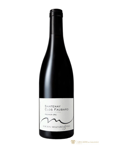 Santenay, Lucien Muzard et Fils, Clos Faubard, 2013
