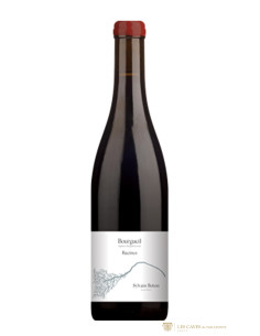 Val de Loire, Sylvain Boton, Racines, 2023