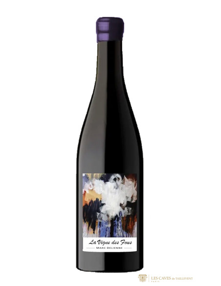 Beaujolais, Fleurie, Marc Delienne, La Vigne des Fous, 2021, Magnum