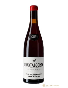 Espagne, Vinos de Madrid, Comando G, Navatalgordo, 2022