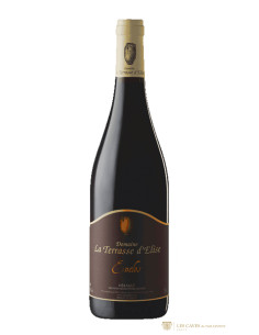 Languedoc, IGP de l’Hérault, La Terrasse d’Elise, Enclos, 2023