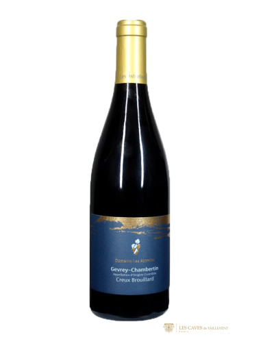 Bourgogne, Gevrey-Chambertin, Les Astrelles, Creux Brouillard, 2022