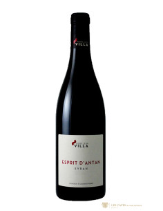 Vallée du Rhône, IGP Collines Rhodaniennes, Pierre-Jean Villa, Esprit d'Antan, 2018