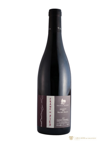 Vallée du Loire, Saumur-Champigny, Domaine des Roches Neuves, Franc de Pied, 2022