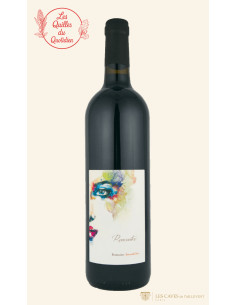 Bourgueil, Domaine Ansodelles, Rencontre, 2020