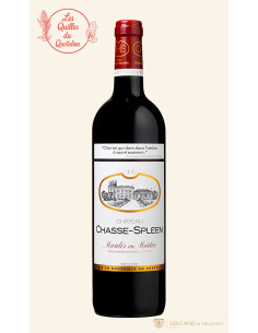 Bordeaux, Château Chasse-Spleen, 2011, Caves de Taillevent