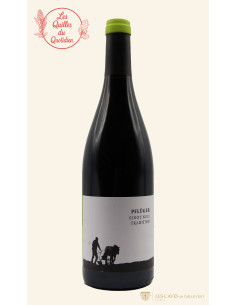 Allemagne, Palatinat, Domaine Pflüger, Tradition, 2020