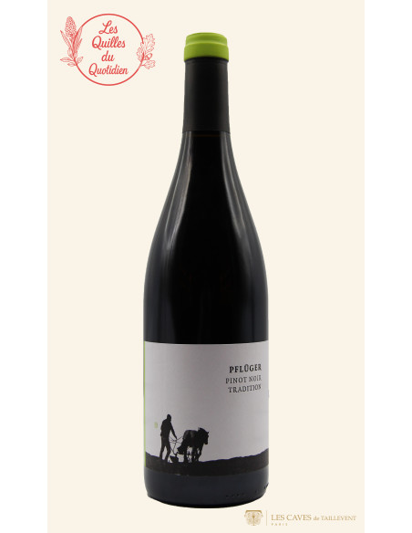 Allemagne, Palatinat, Domaine Pflüger, Tradition, 2020