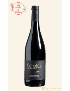 Val de Loire, Domaine Sérol, Oudan, 2021