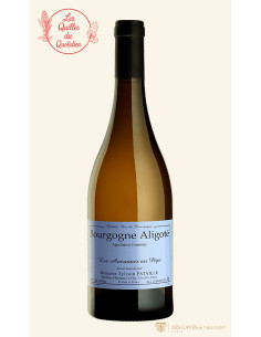 Bourgogne, Bourgogne Aligoté, Sylvain Pataille, 2022