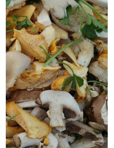 Italie, Langhe, Sobrero, Nebbiolo 2017  2