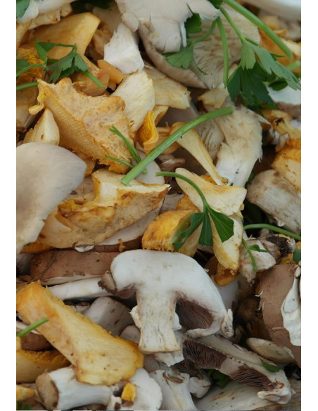 Italie, Langhe, Sobrero, Nebbiolo 2017 