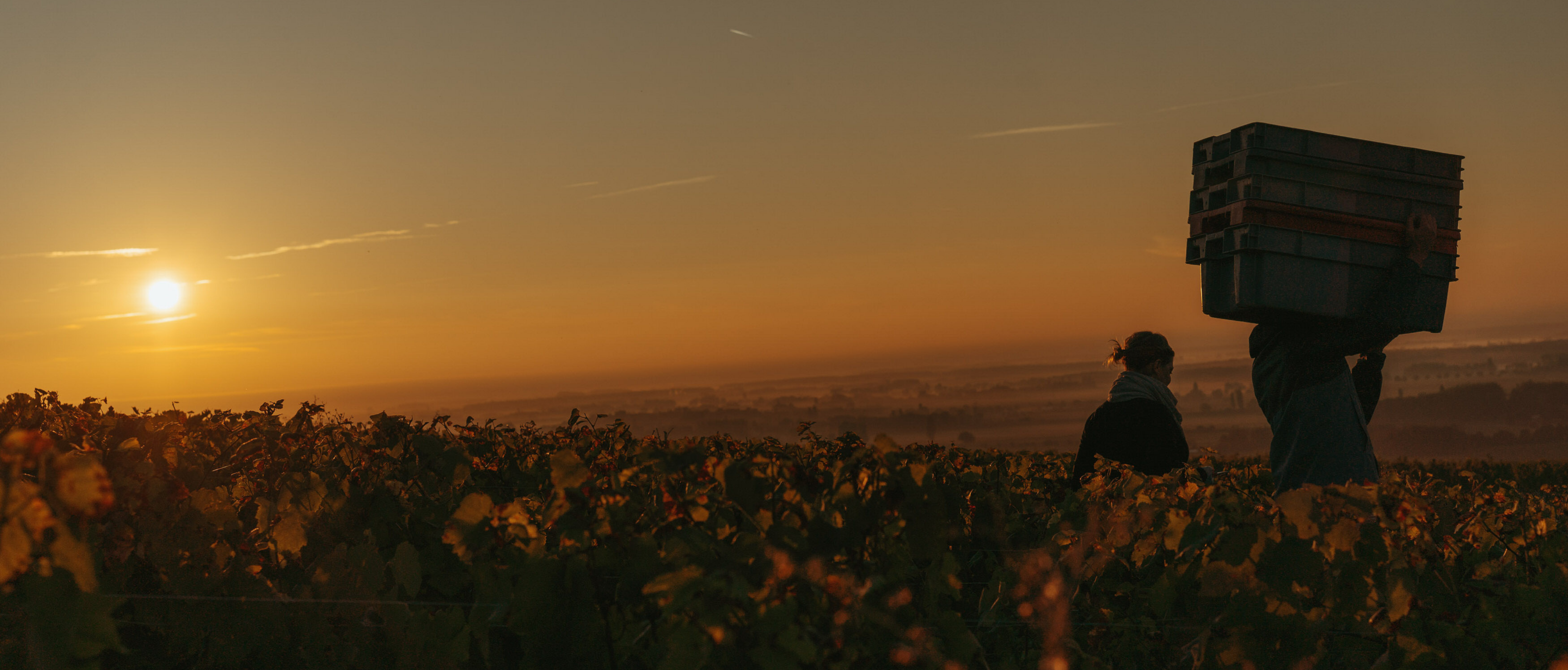 Domaine d'exception