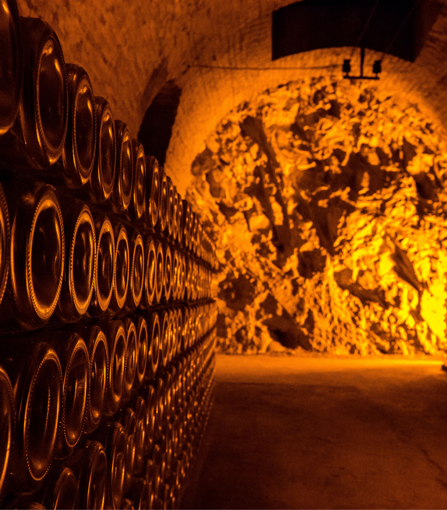 fabrication du vin en cellier