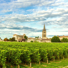 Les Automnales 2024 : Dégustation - Mercredi 18 septembre

Rendez-vous aux Caves de Taillevent Victor Hugo (Paris 16) pour découvrir nos pépites de terroirs bordelais ! 

40€/personne, sur inscription (lien en bio), places limitées

📅 Mercredi 18 septembre 
🕢 De 19h30 à 21h
📍 Les Caves de Taillevent Victor Hugo (Paris 16)

#lescavesdetaillevent #taillevent #cave #Automnales #Automnales2024 #bordeaux #bordeauxwine #vin #wineexperience #degustation