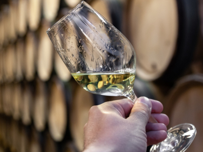 Guide de dégustation des vins